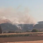 Izmirin torbali ilcesinde orman yangini rEbmugMP