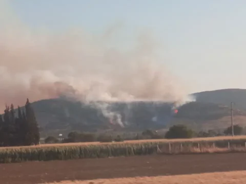 Izmirin torbali ilcesinde orman yangini rEbmugMP