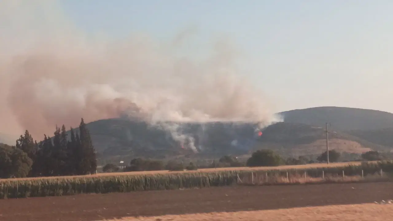 Izmirin torbali ilcesinde orman yangini rEbmugMP