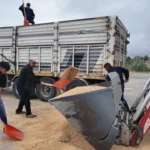 Tarimsal girdilerden yakinan yozgatli ciftci arkadaslarim tarlalarini komple satti fSUf3ptR