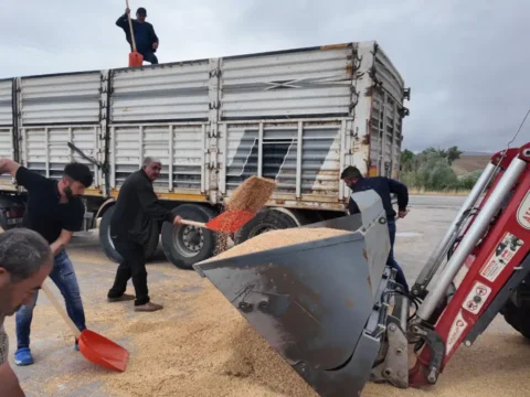 Tarimsal girdilerden yakinan yozgatli ciftci arkadaslarim tarlalarini komple satti fSUf3ptR