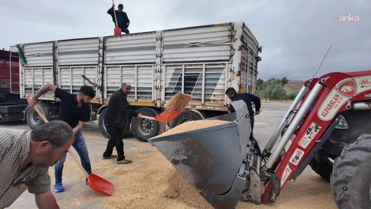 Tarimsal girdilerden yakinan yozgatli ciftci arkadaslarim tarlalarini komple satti fSUf3ptR